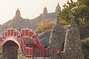 I want to adopt a baby